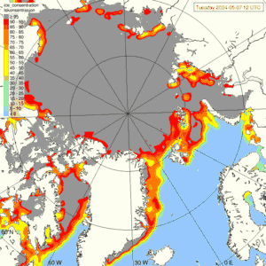 Sea ice yesterday - Satellite observation