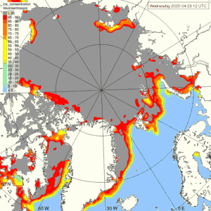 Sea ice yesterday - Satellite observation