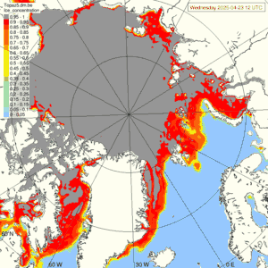 Sea ice yesterday - Model prediction